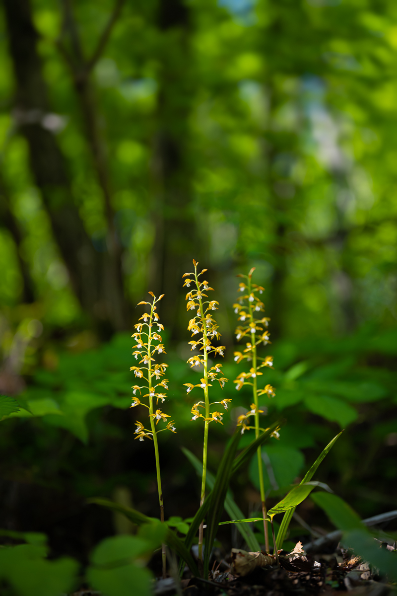DSC_8773.jpg