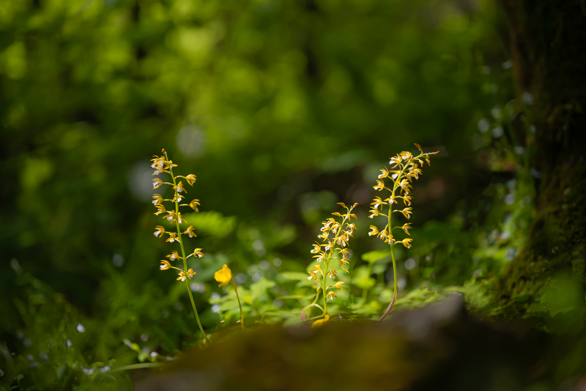 DSC_8802.jpg