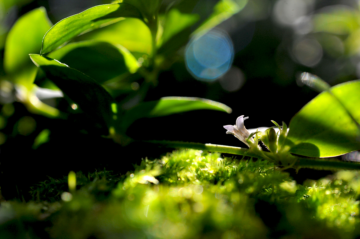 DSC_8784s.jpg