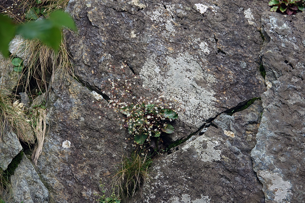 24-07-22 (361)-1.JPG