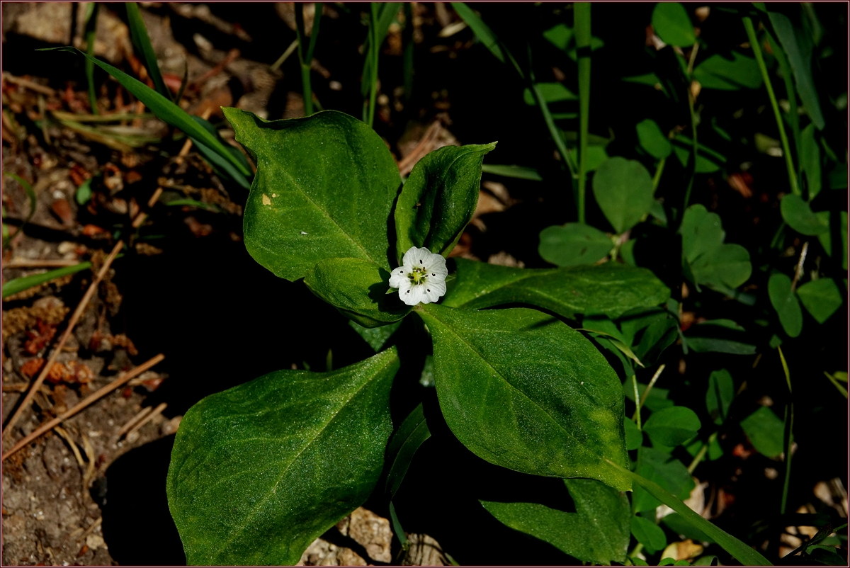 KHS09758.jpg