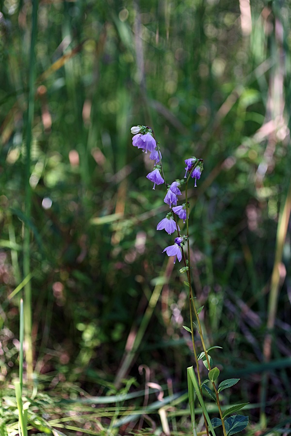 25-08-10 (28)-1.JPG