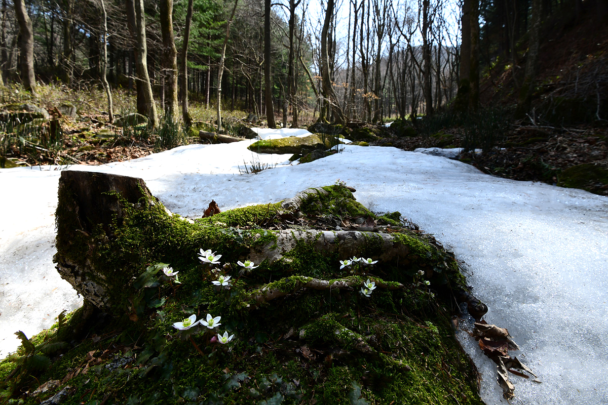 DSC_0607sss.jpg