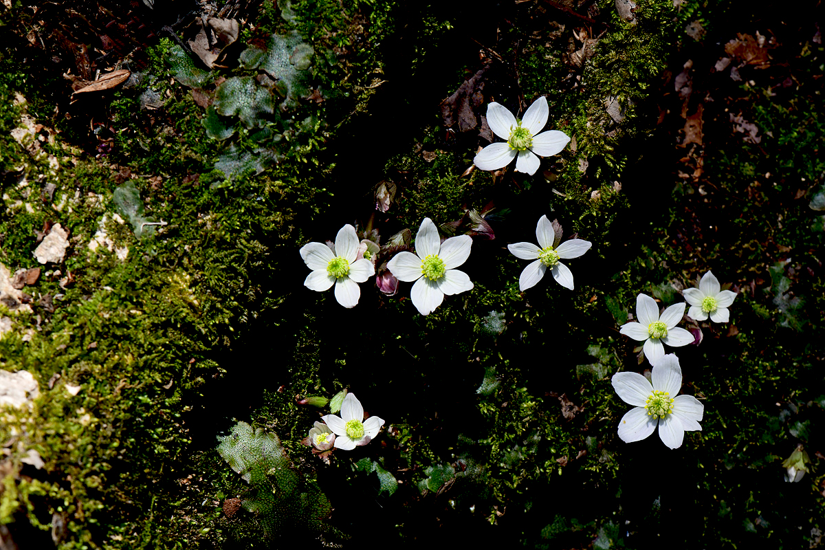 DSC_0597sss.jpg