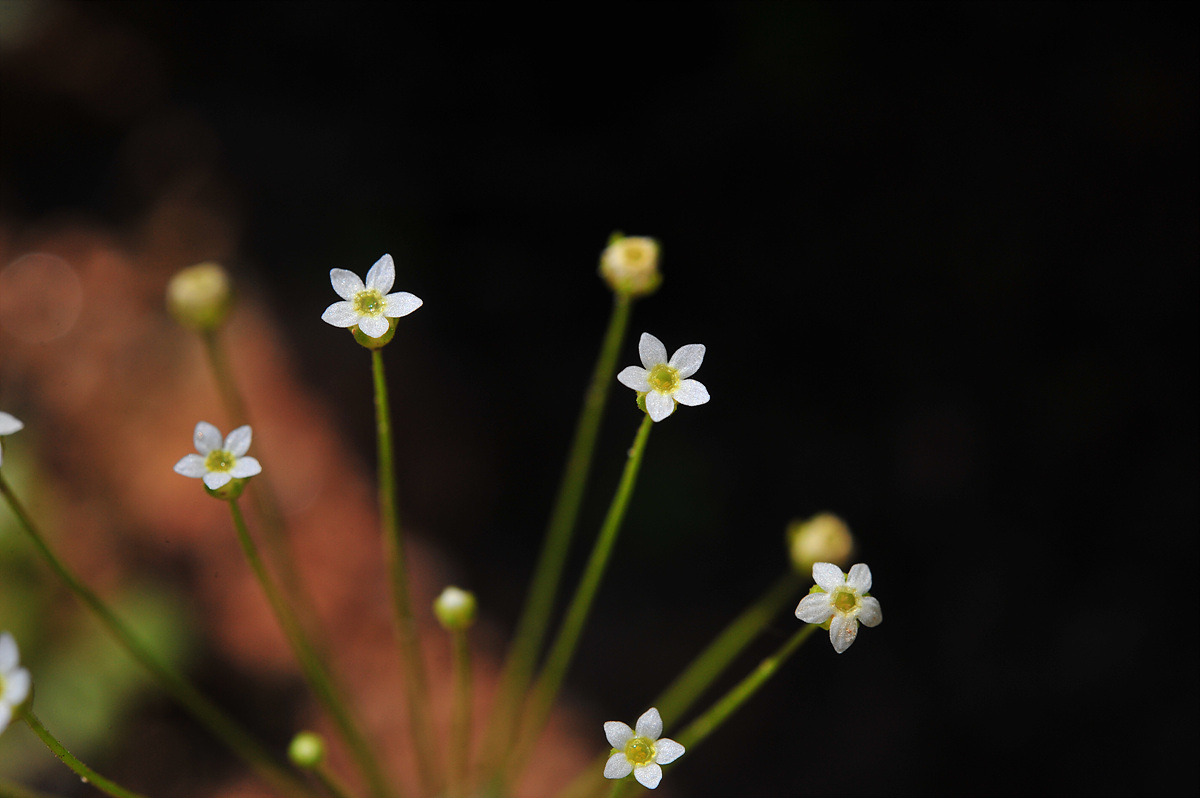DSC_7173.jpg