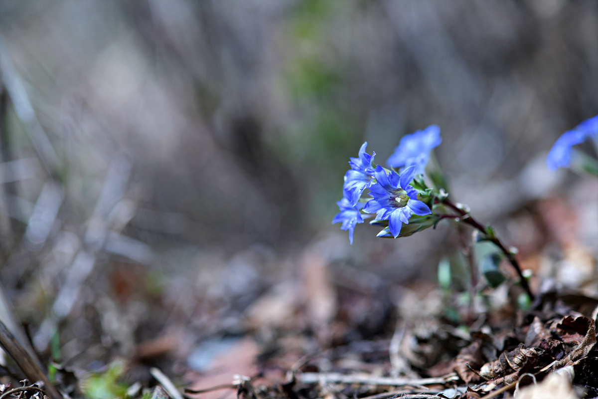 DSC_8265.jpg