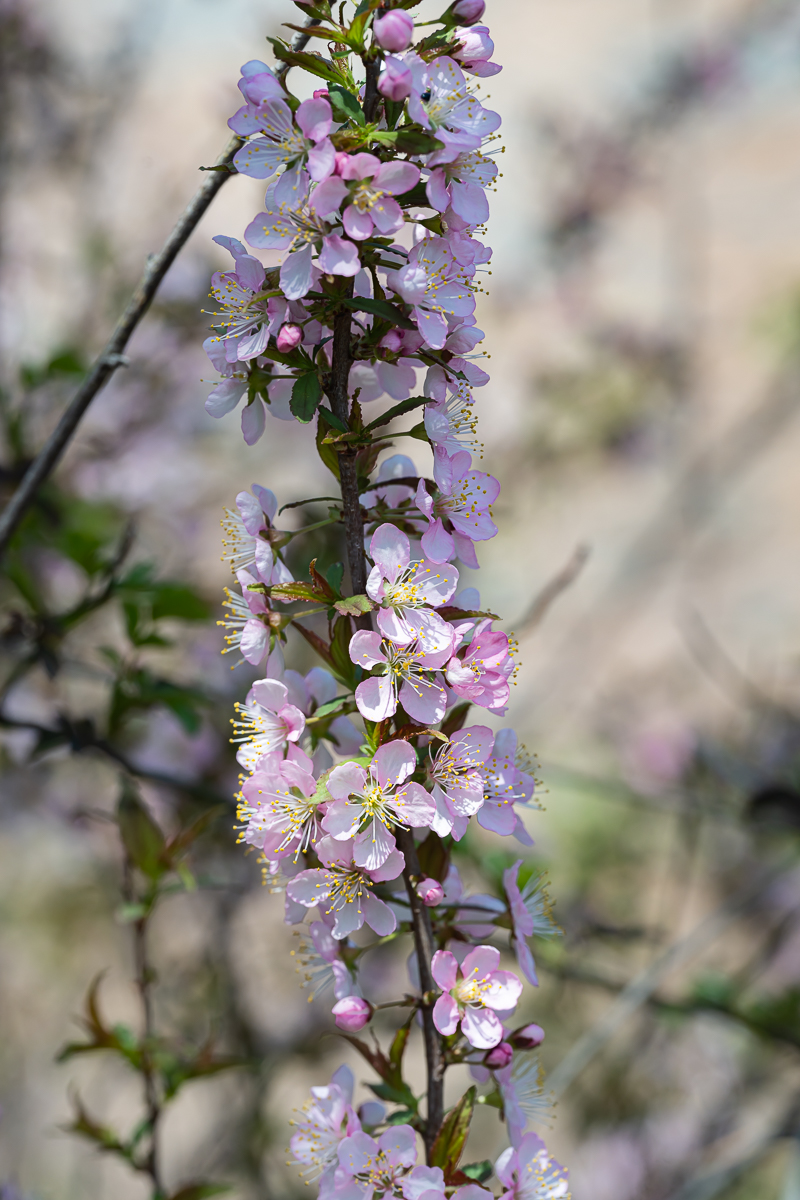 DSC_0583.jpg