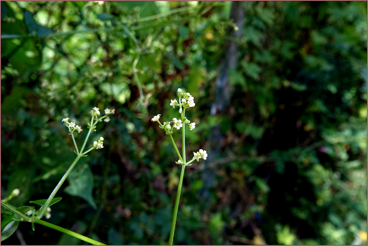KHS04469.jpg