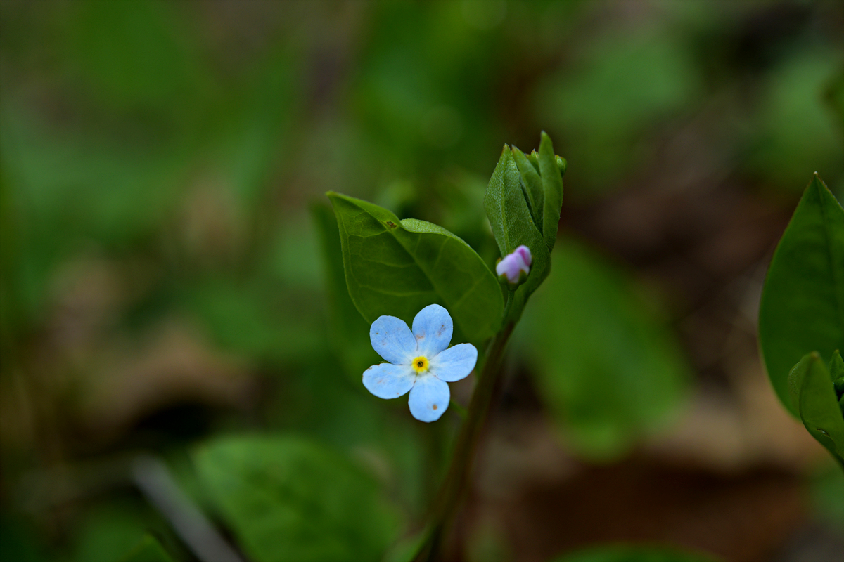 DSC_8365.jpg
