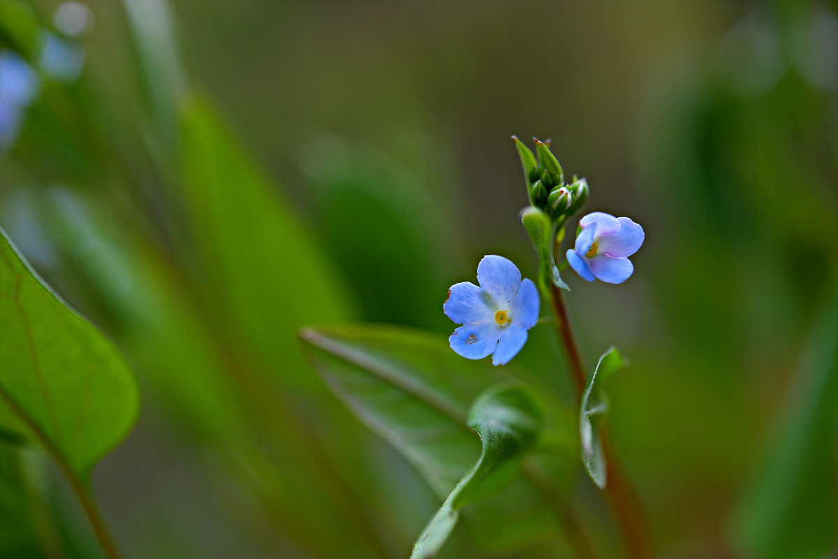 DSC_8336.jpg