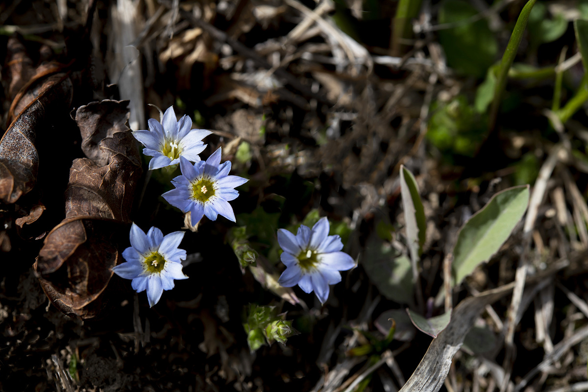 DSC_8137ccc.jpg