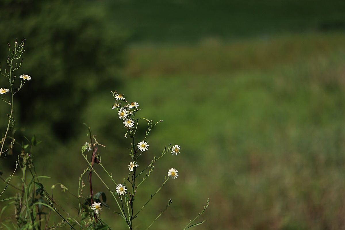 24-09-08 (100)-1.JPG