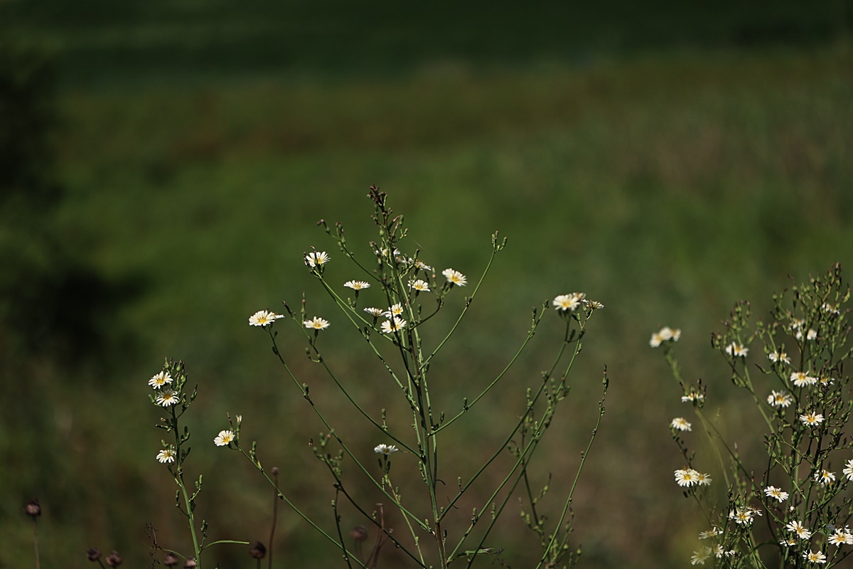 24-09-08 (104)-1.JPG