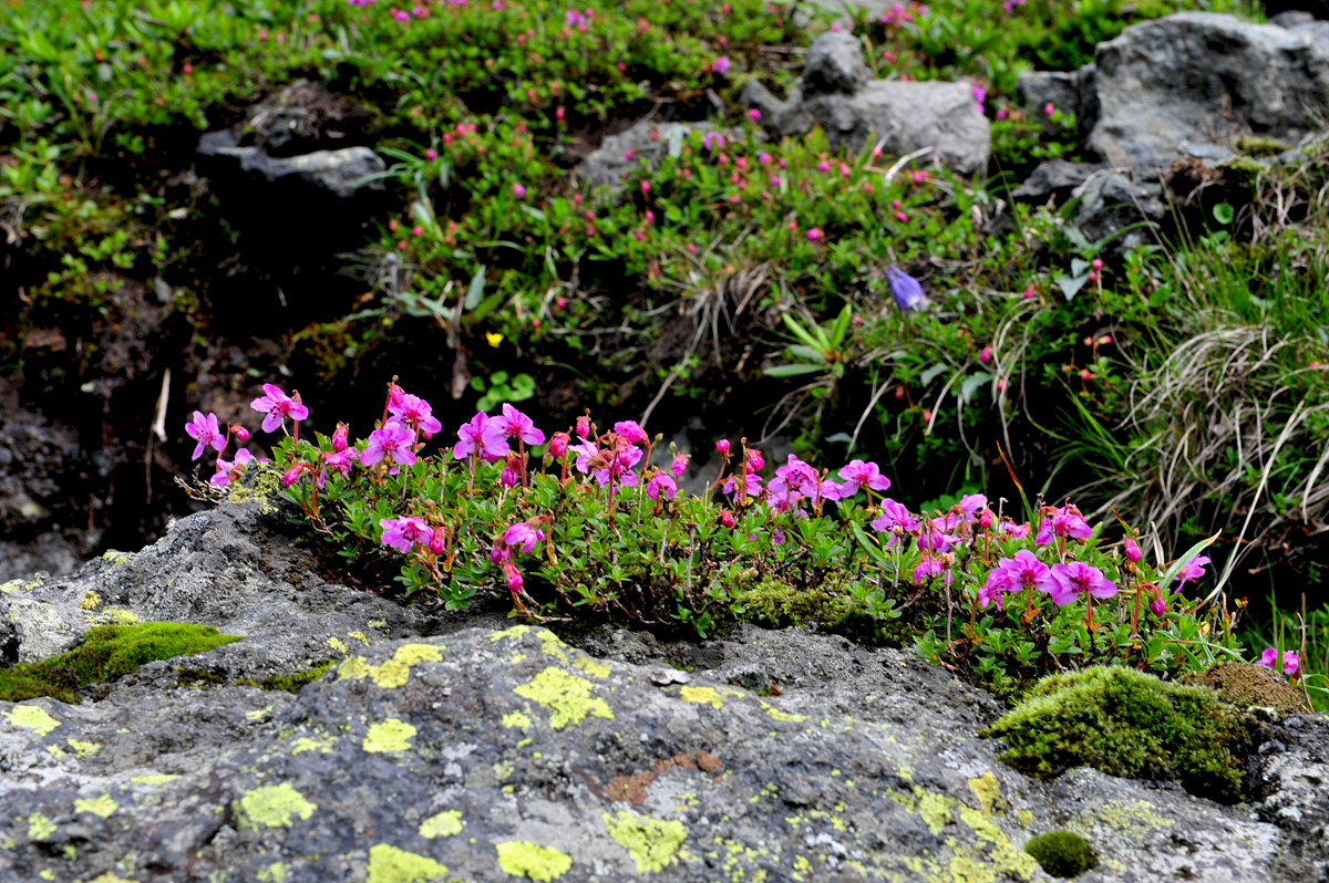 DSC_3000a.jpg