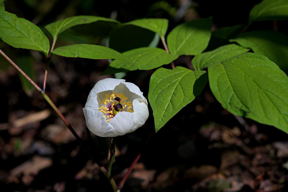 DSC_8395.jpg