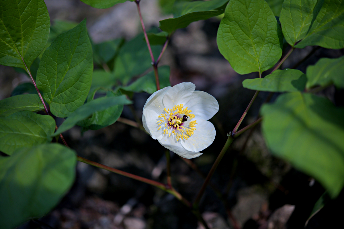 DSC_8405.jpg