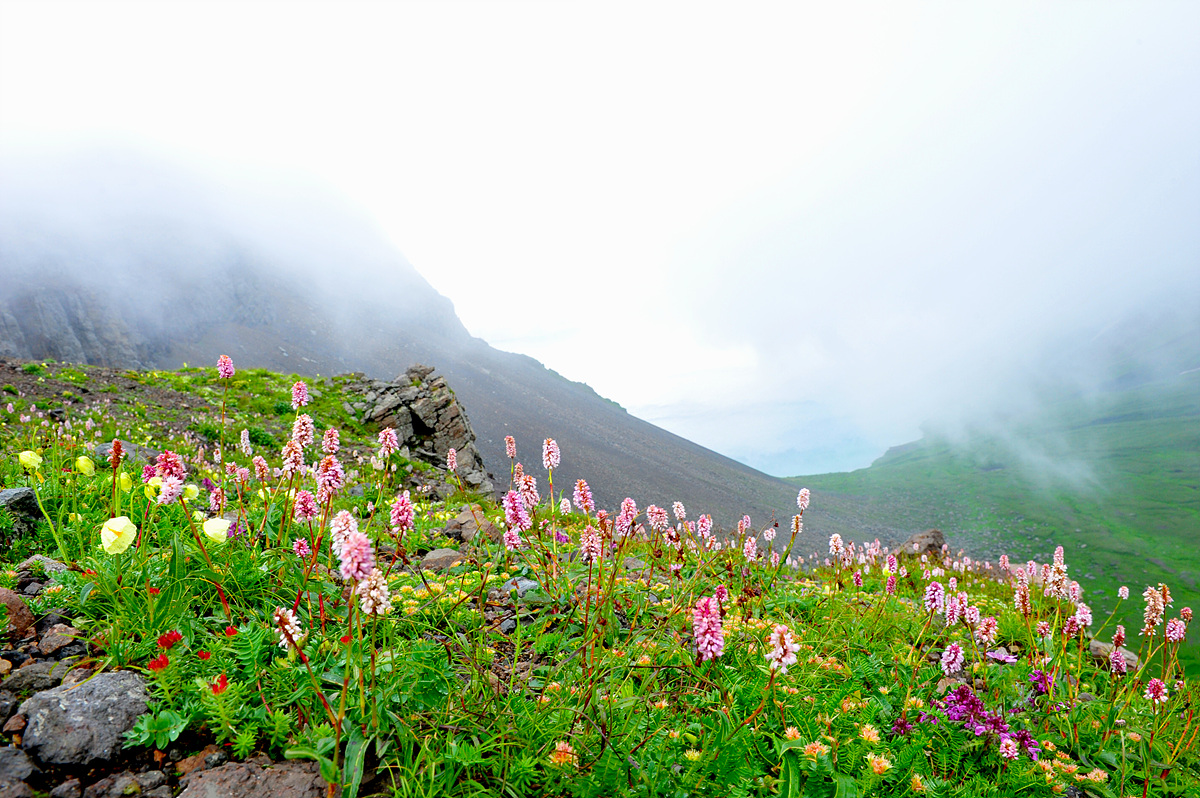 DSC_7608a.jpg