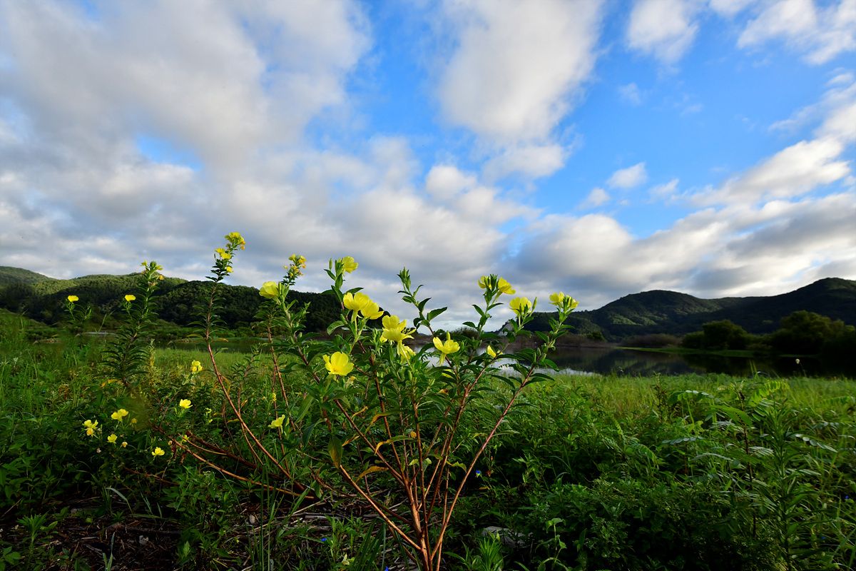 _DSC7961aaa.jpg