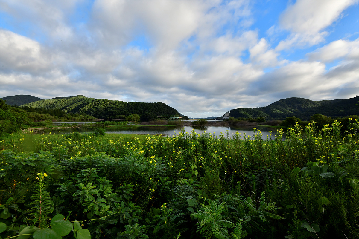 _DSC7964.jpg