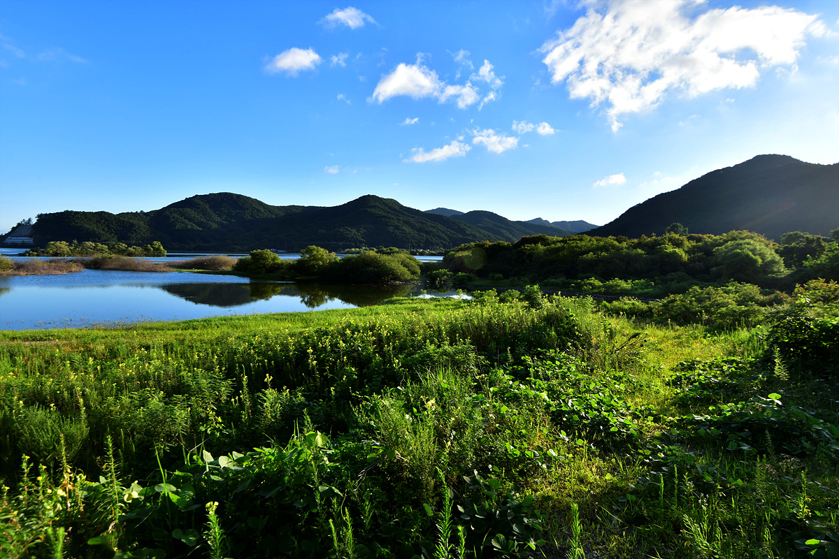 _DSC8030aa.jpg