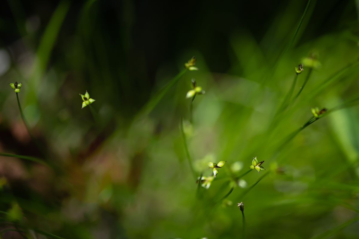 DSC_8923.jpg