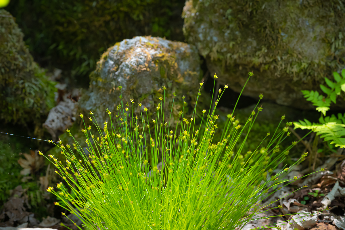 DSC_9188.jpg