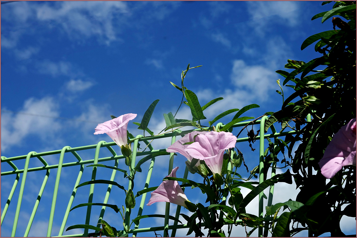 KHS03428.jpg