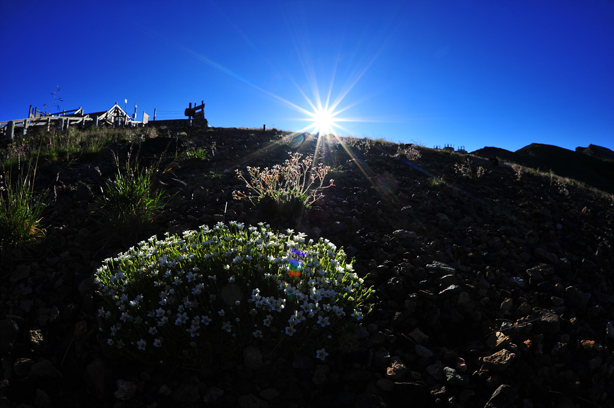 DSC_4483a.jpg
