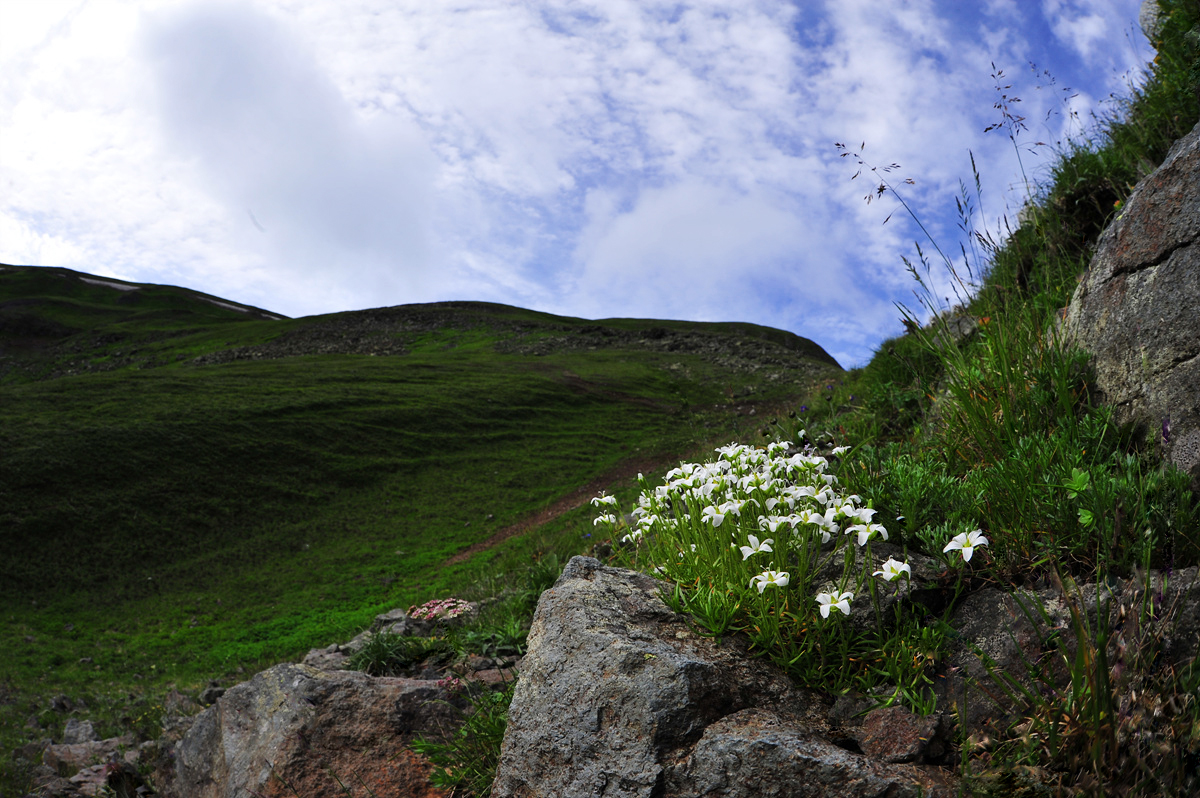 DSC_3386aaa.jpg