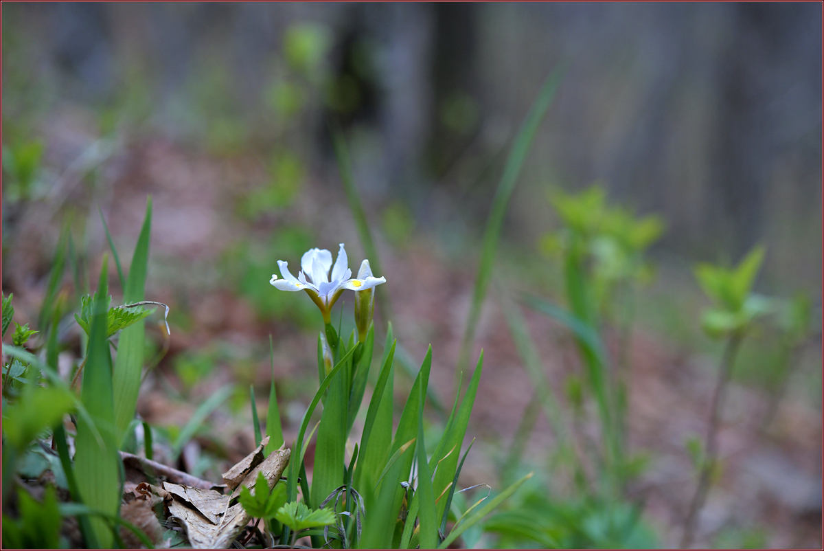 DSC_0909.jpg