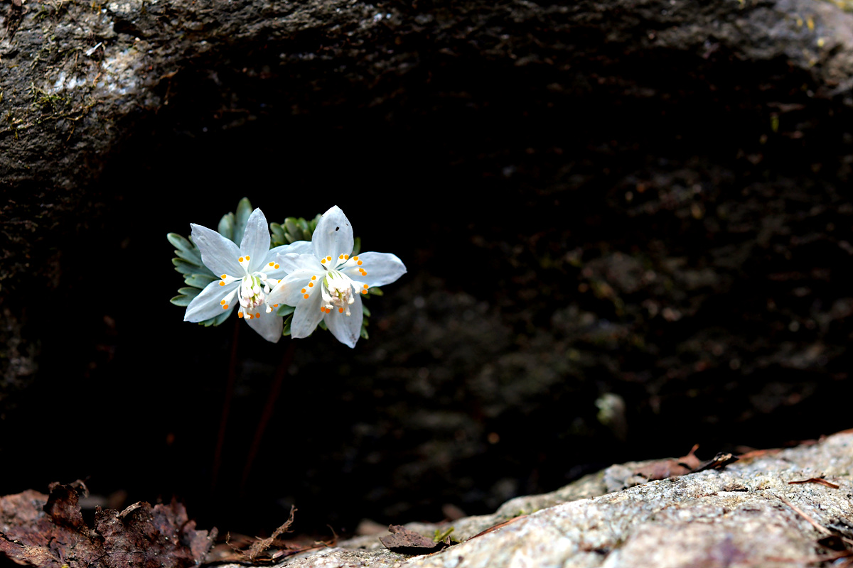 DSC_8579.jpg