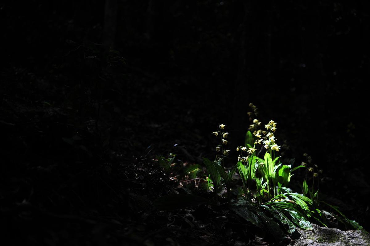 DSC_9158.jpg