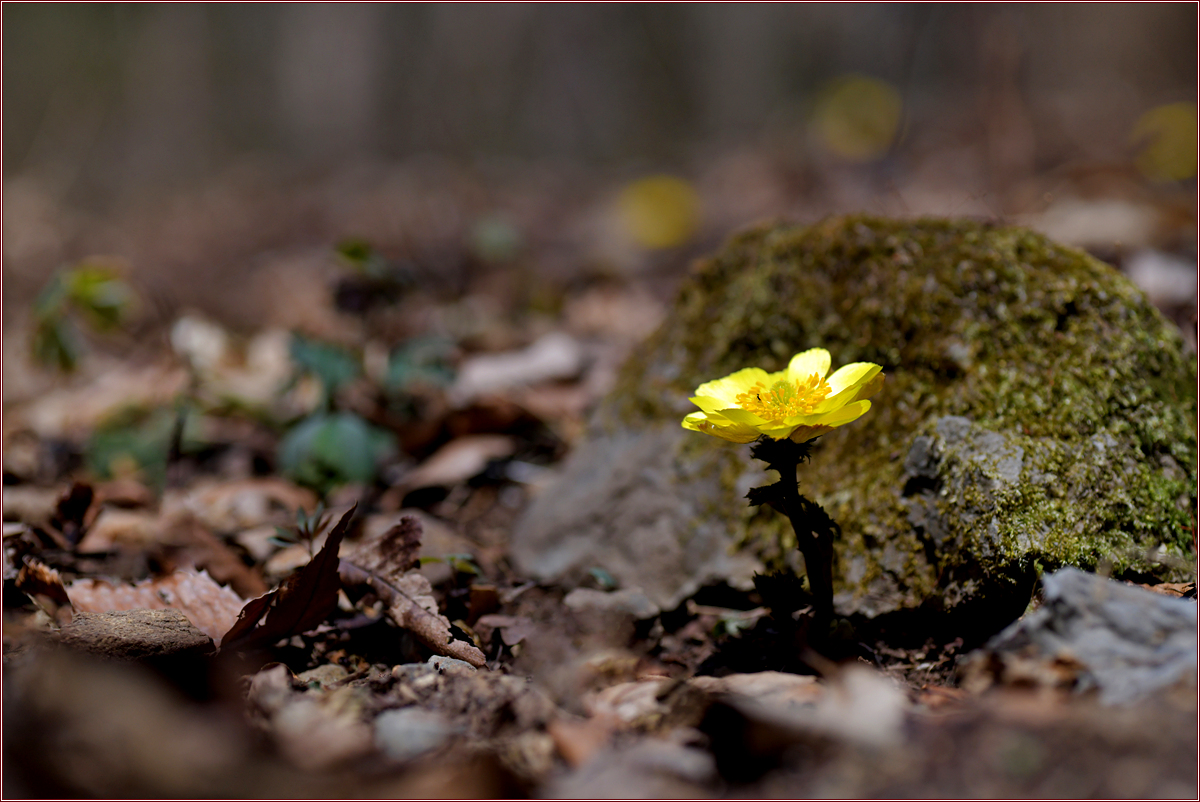 DSC_7899.jpg