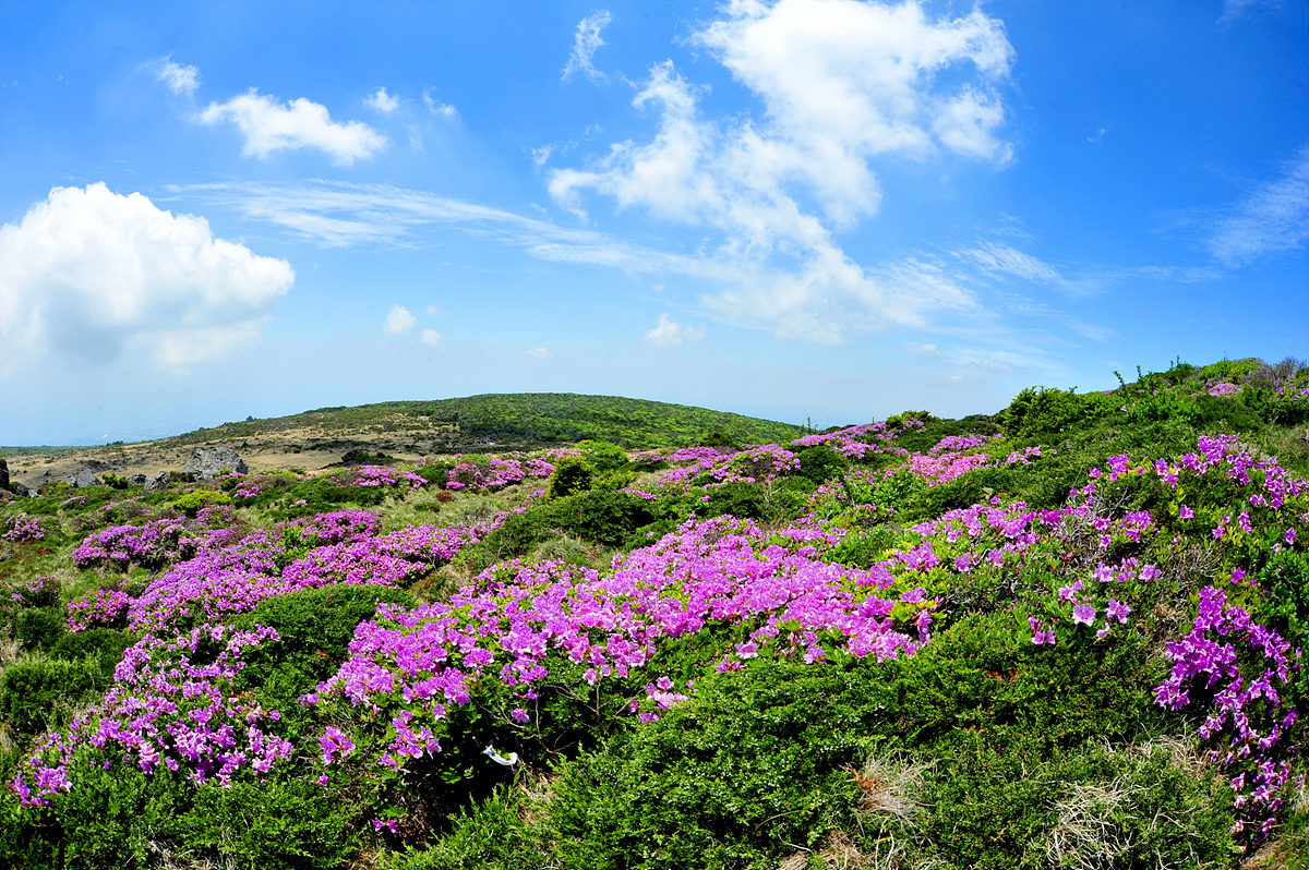 DSC_6883s.jpg