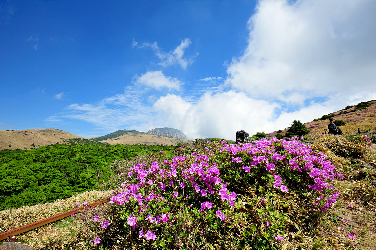 DSC_7709s.jpg