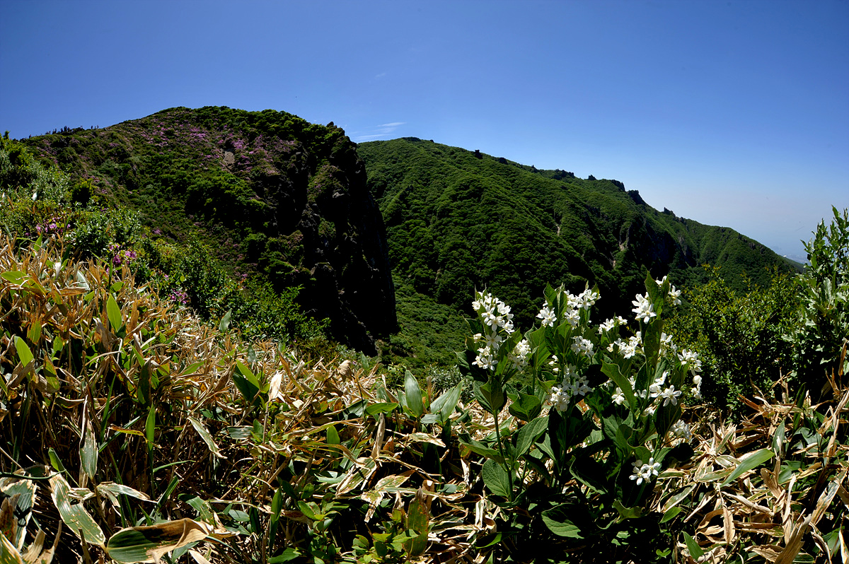 DSC_6183s.jpg
