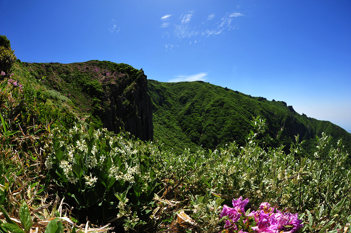 DSC_6143s.jpg