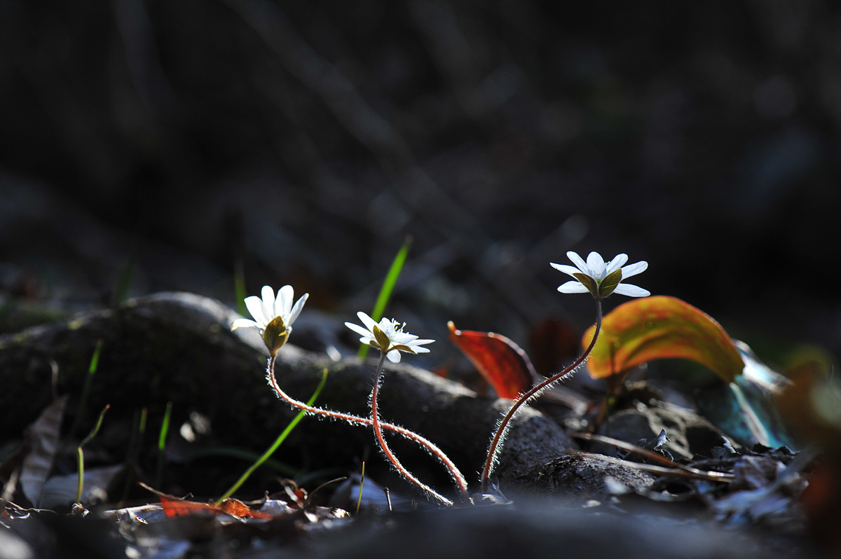 DSC_6289.jpg