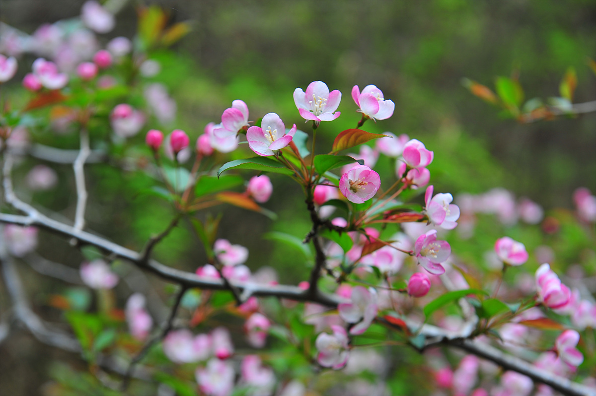 DSC_2256.jpg