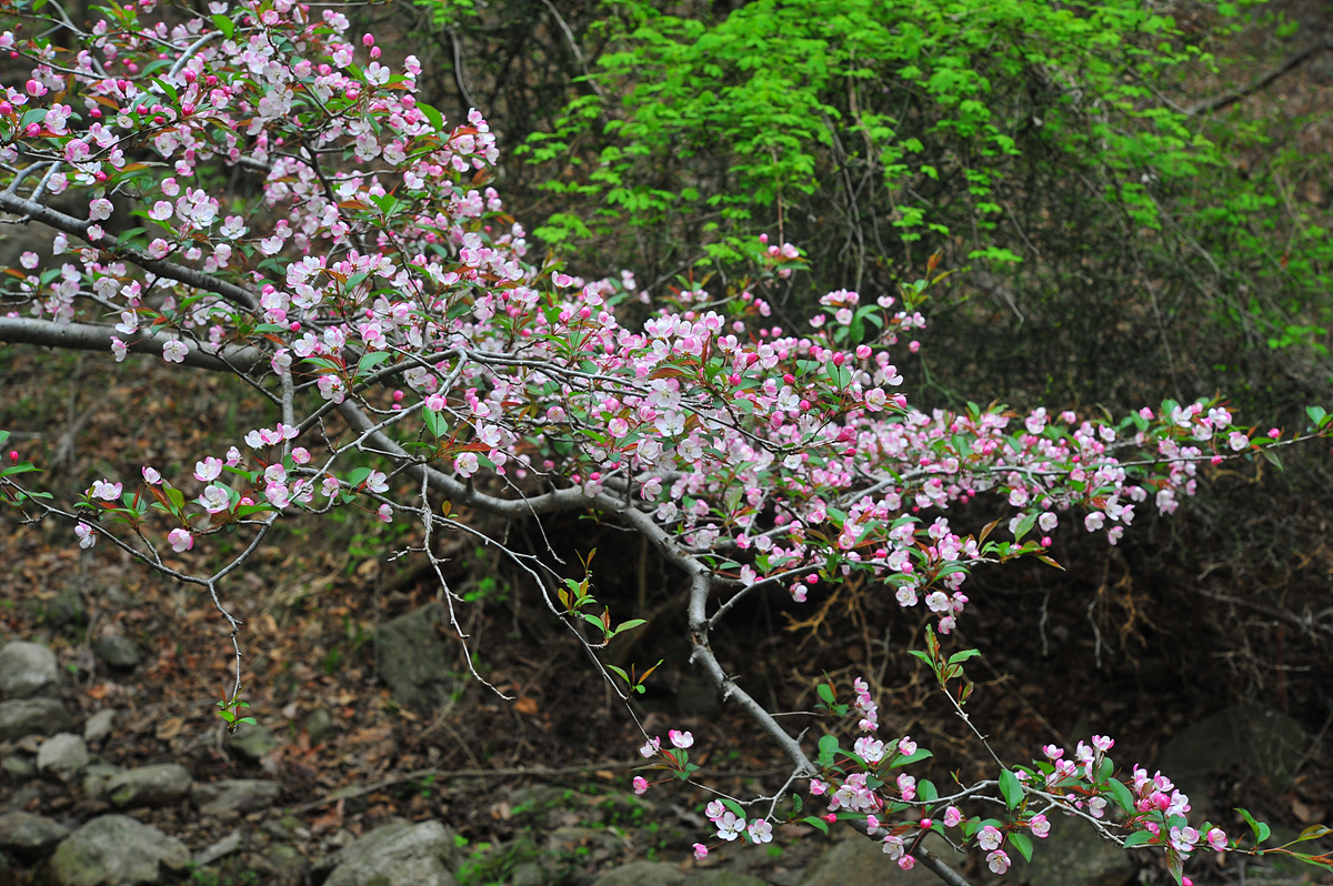 DSC_2276.jpg
