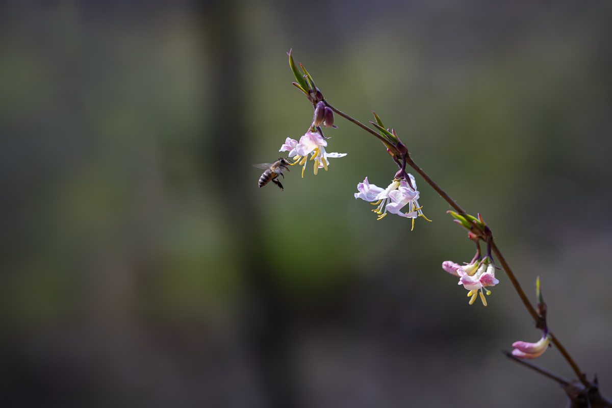 DSC_9110.jpg