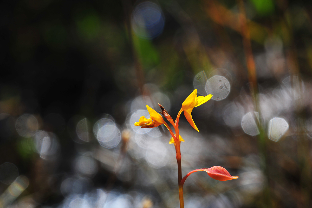 DSC_0317s.jpg