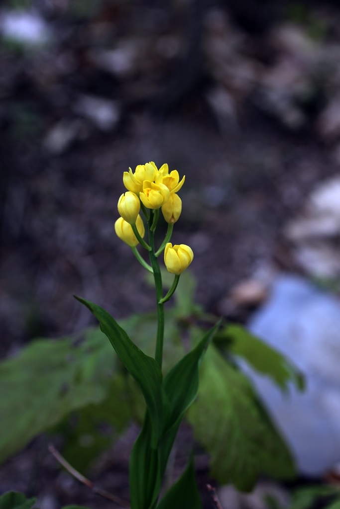 20-05-02 (110)-1.JPG