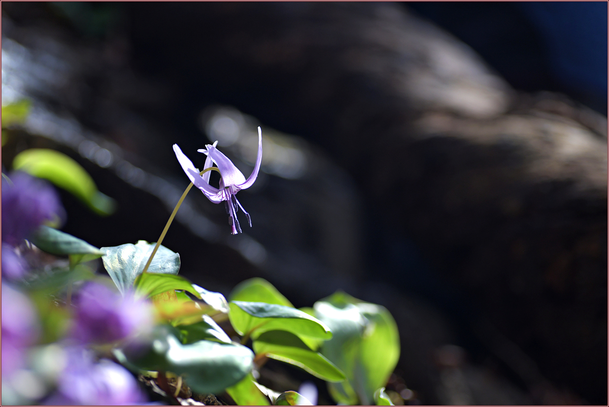 DSC_7912.jpg