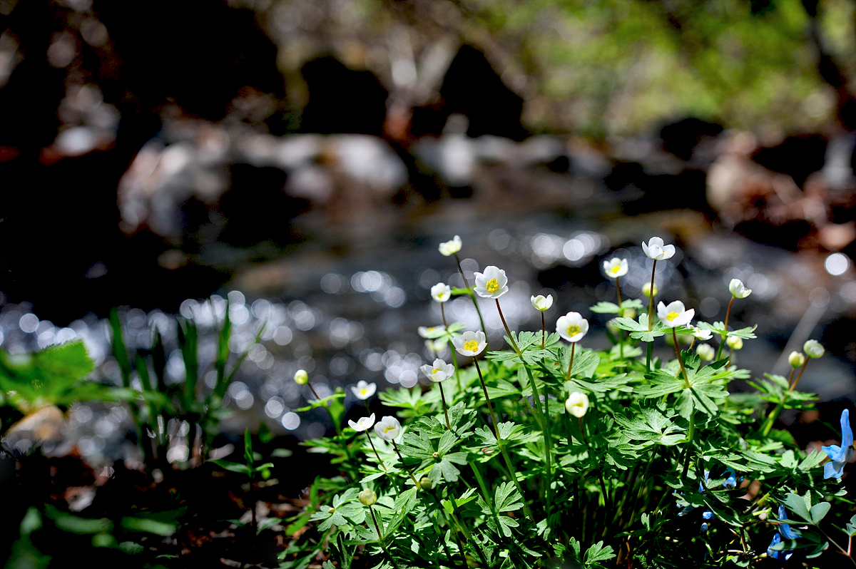DSC_5825s.jpg