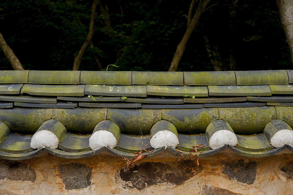 DSC_5255a.jpg