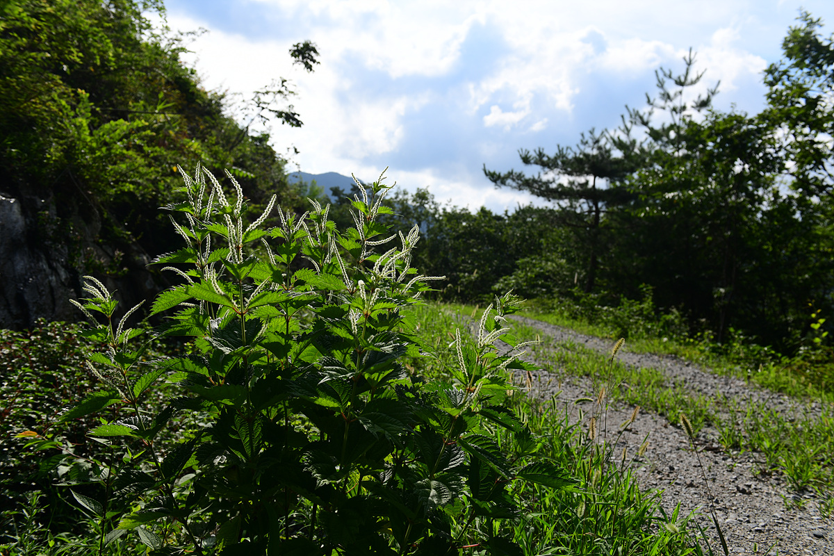 DSC_0672.jpg