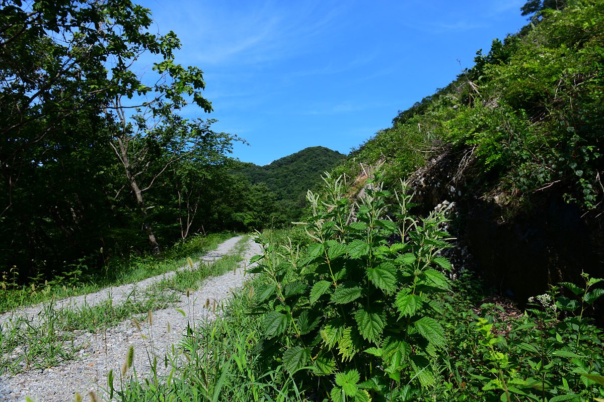 DSC_0671.jpg