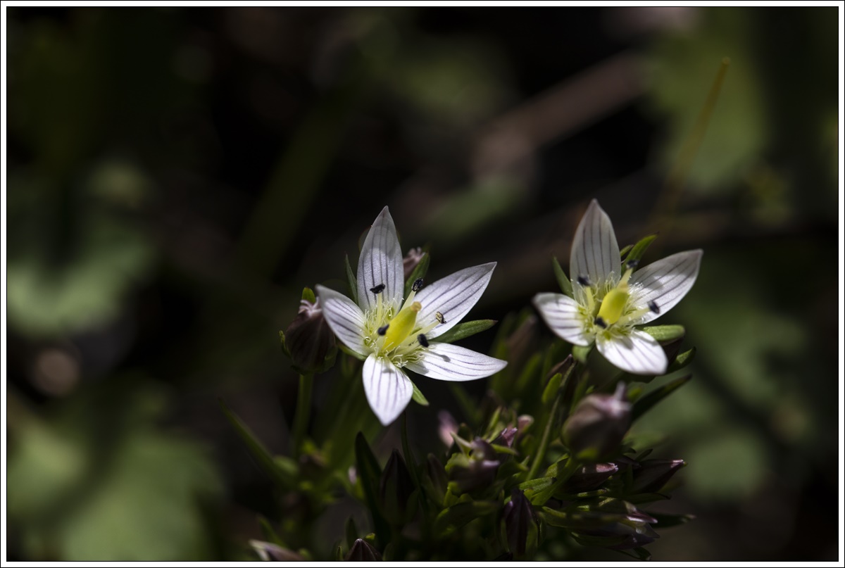 0L3A0976-1.jpg