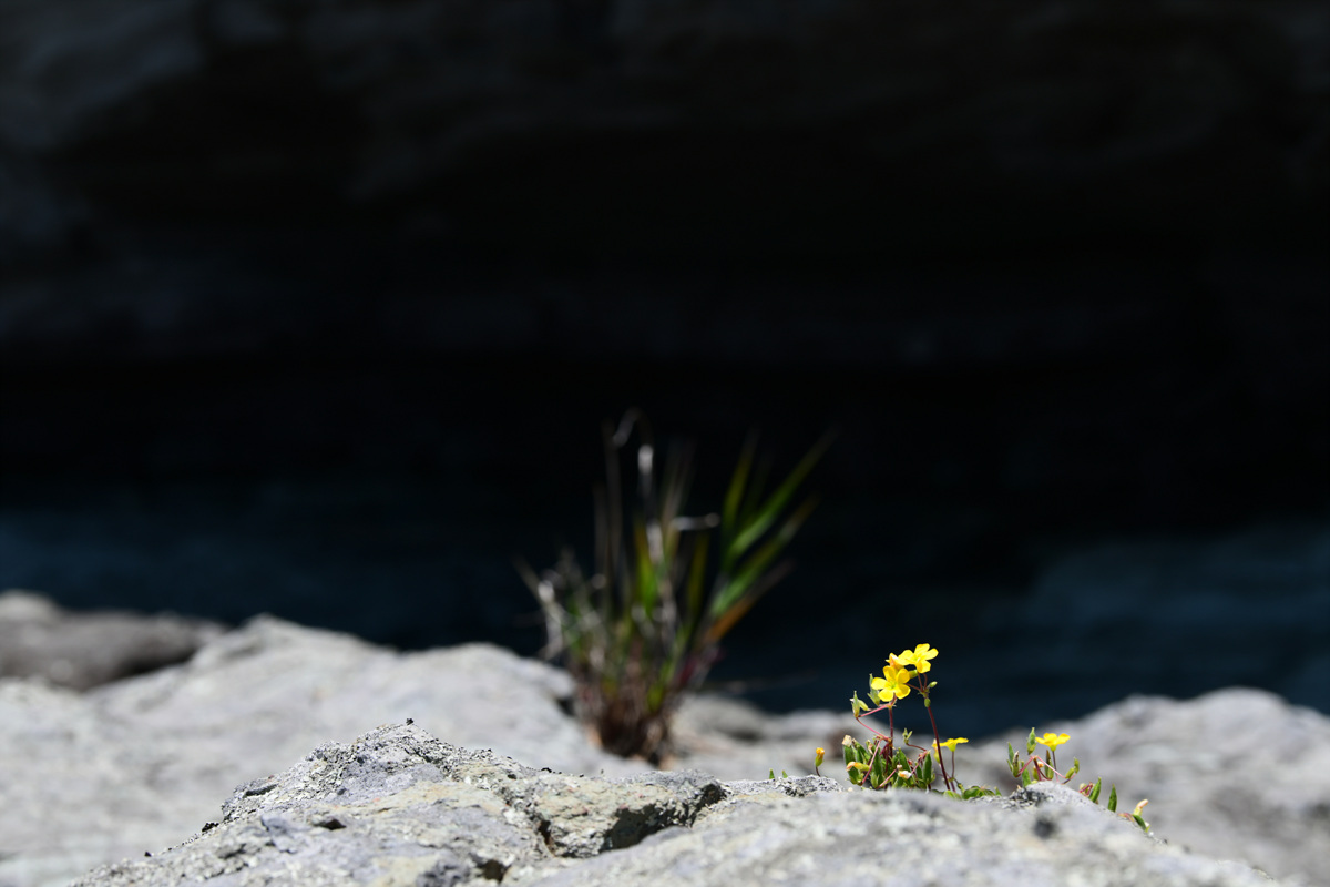 DSC_6077.jpg